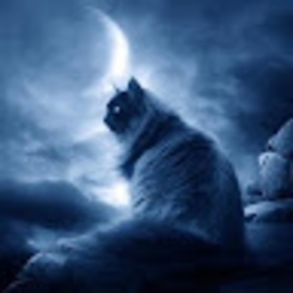 Meet your Posher, Rcxc - Picture 1 of 1